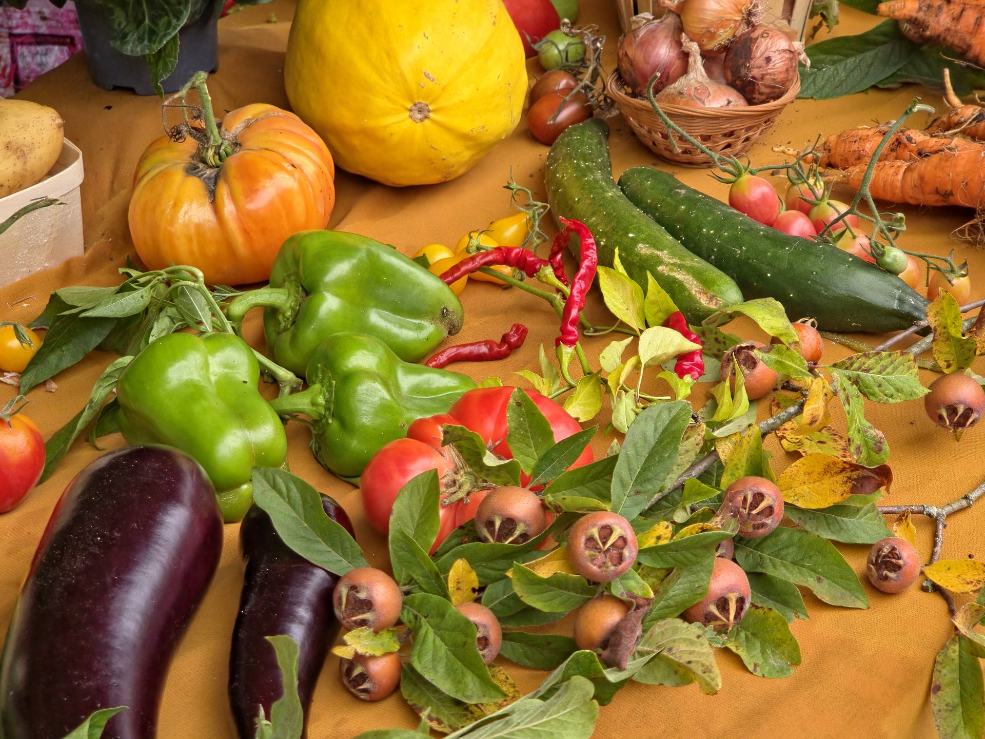 Assortiment de légumes du jardin - Courges, poivrons, aubergines